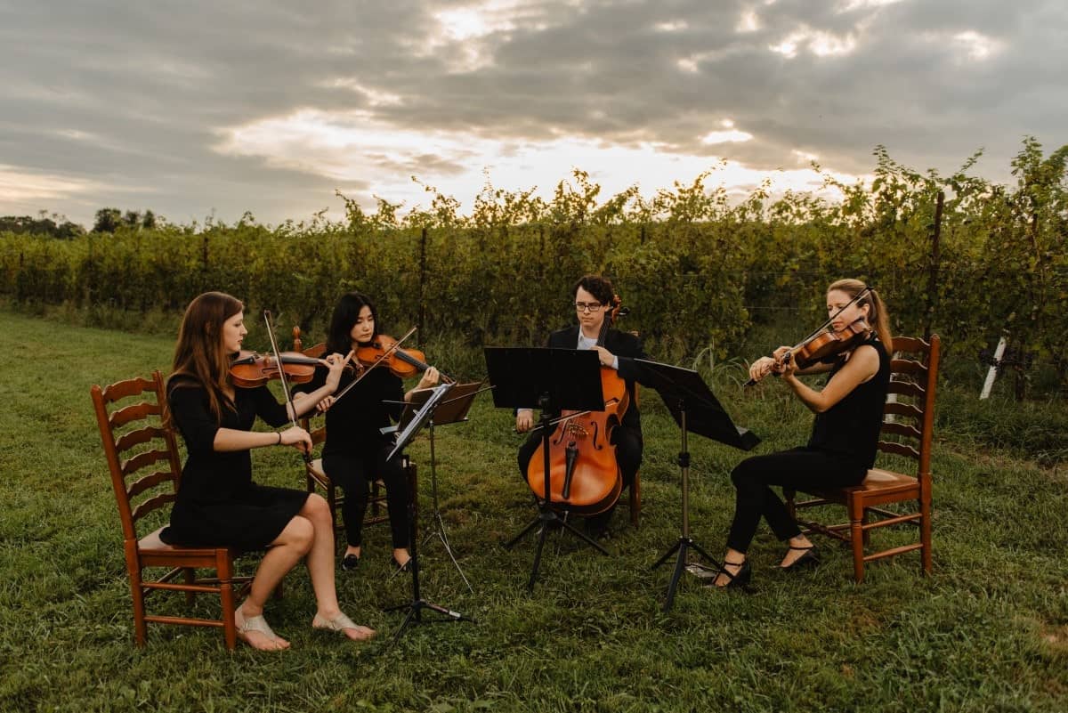 Listeso Music Group A Boutique String Quartet Agency